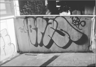 Photo #247559 by iobe1