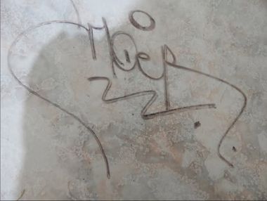 Photo #247515 by iobe1