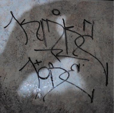 Photo #247192 by iobe1