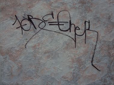 Photo #245334 by iobe1