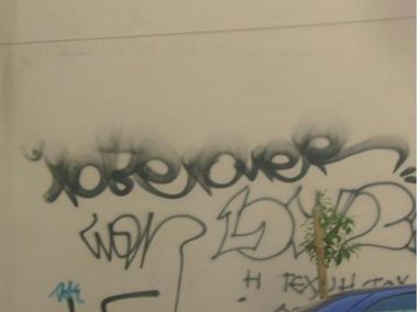 Photo #247216 by iobe1