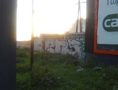 Photo #247180 by iobe1
