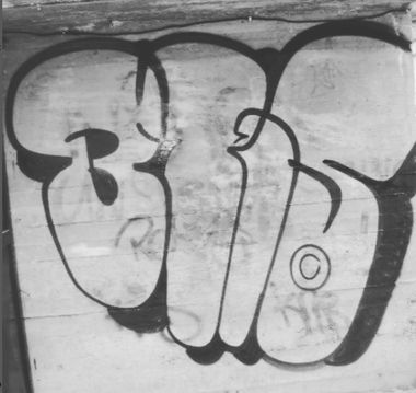 Photo #246808 by iobe1