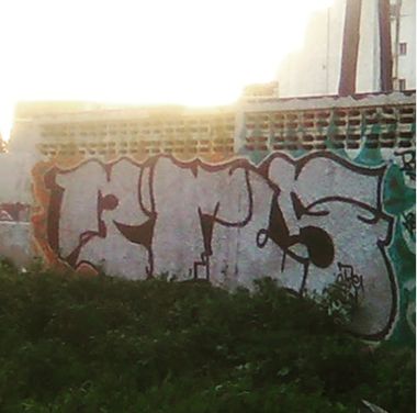 Photo #247465 by iobe1