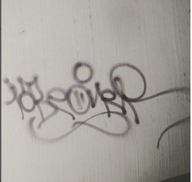 Photo #247722 by iobe1