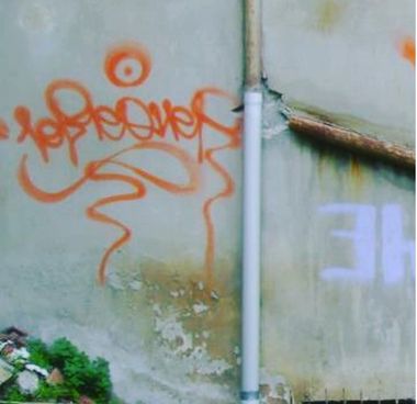 Photo #245870 by iobe1