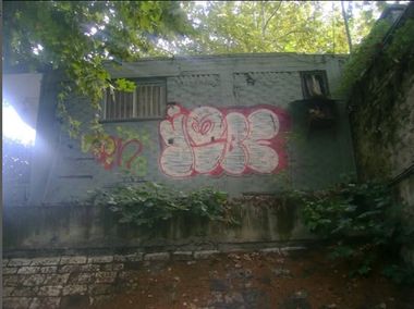 Photo #247661 by iobe1