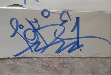 Photo #246174 by iobe1