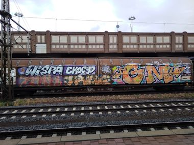 Photo #246111 by nice