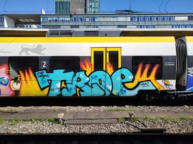 Photo #246117 by nice