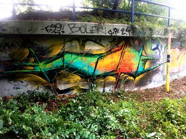 Photo #228975 by x9
