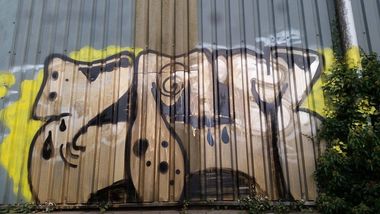 Photo #211310 by ycrezam