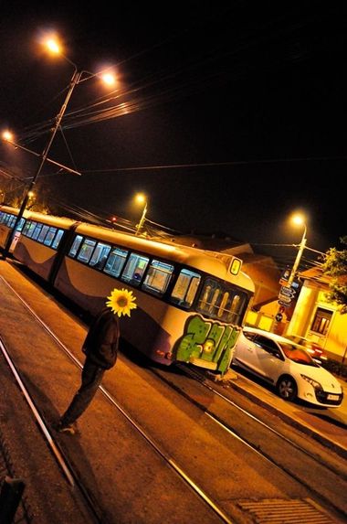 Photo #211308 by ycrezam