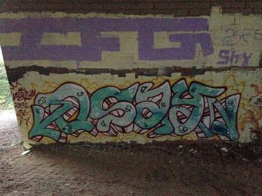 Photo #223330 by zfg